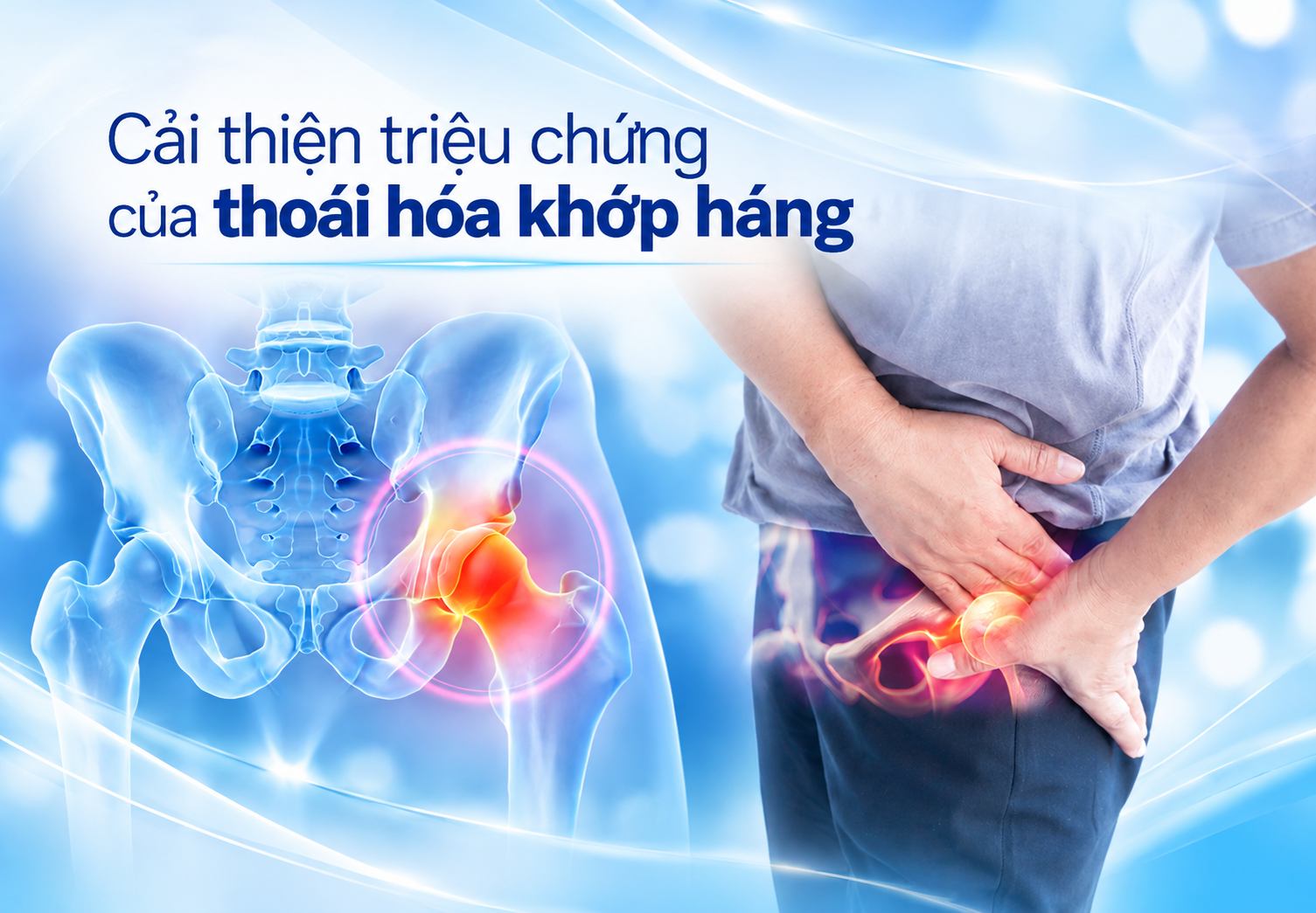 Hiệu quả của Liệu pháp HiToP trong điều trị thoái hóa khớp háng giai đoạn sớm