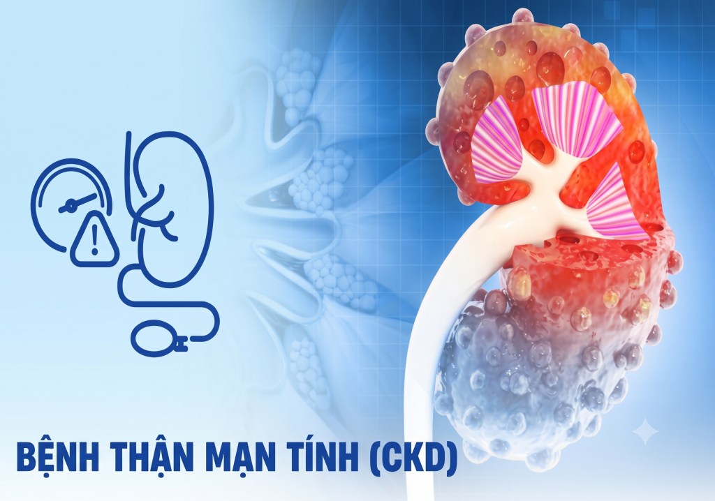 Kích thích cơ ở bệnh nhân cao tuổi mắc bệnh thận mạn tính và suy giảm khối cơ